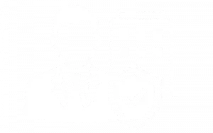 Corporate Security icon 300x188