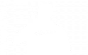 Manned Guarding icon 300x188